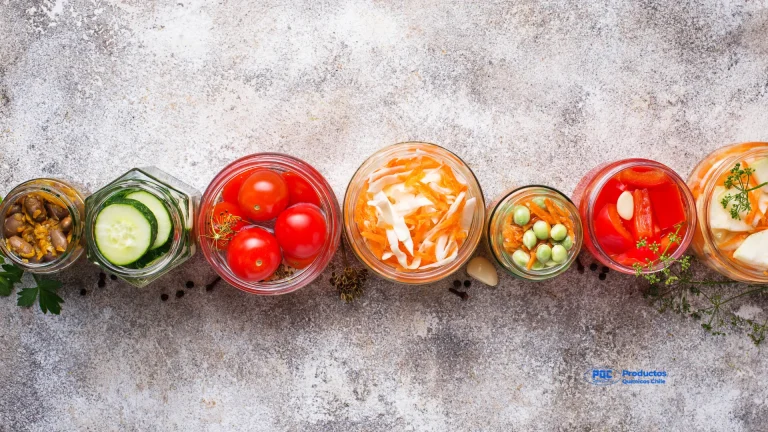 Preservantes De Alimentos De Uso Común